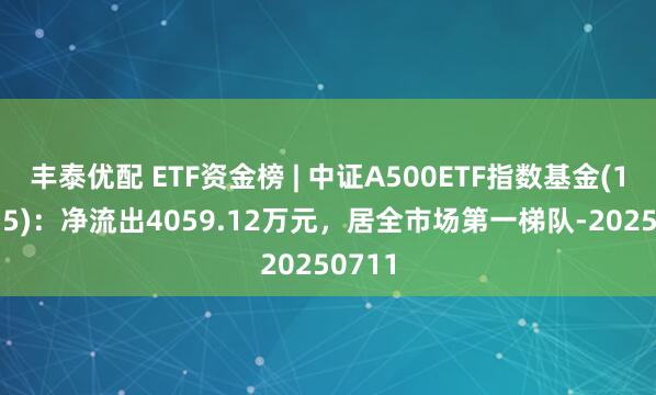 丰泰优配 ETF资金榜 | 中证A500ETF指数基金(159215)：净流出4059.12万元，居全市场第一梯队-20250711