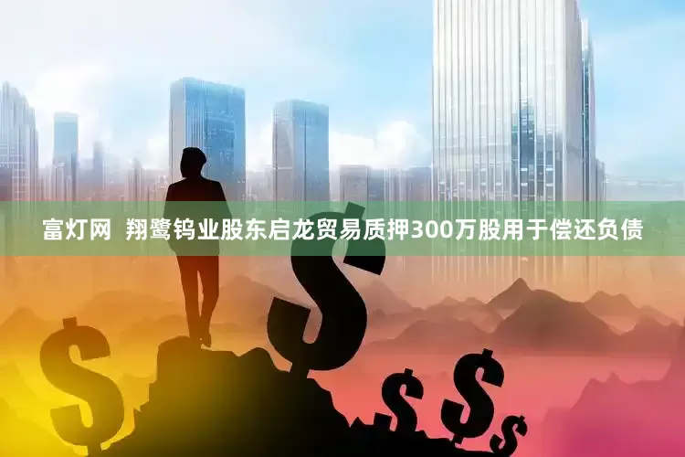 富灯网  翔鹭钨业股东启龙贸易质押300万股用于偿还负债