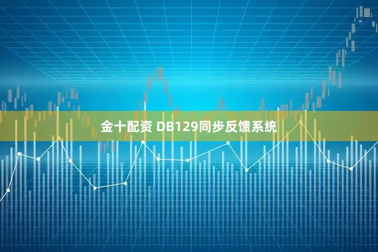 金十配资 DB129同步反馈系统